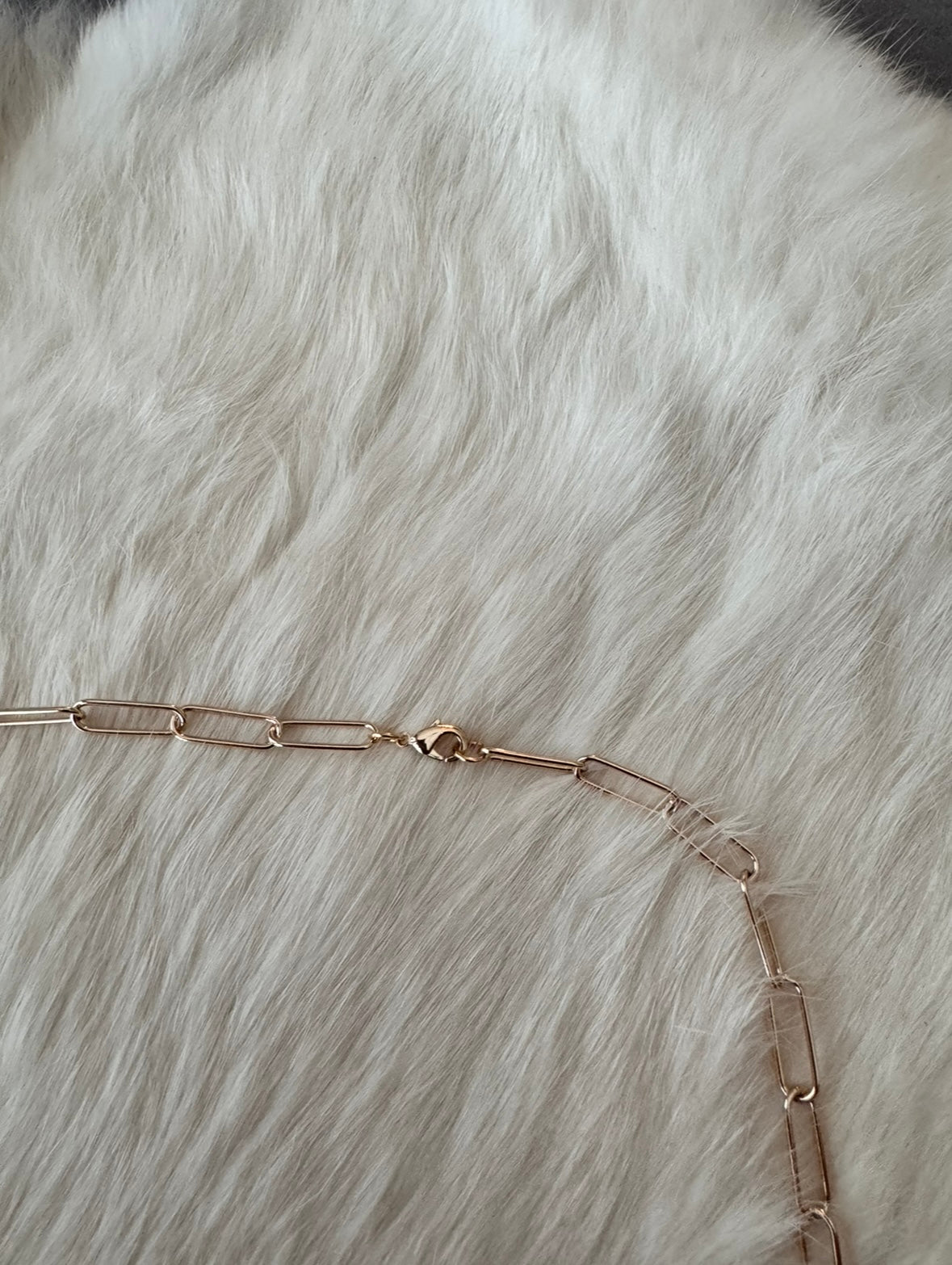 Cowgirl Charm Necklace